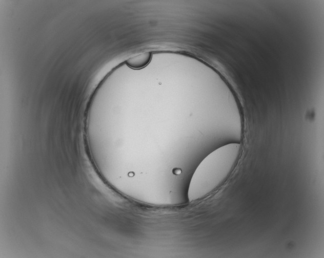 X0000115721187200911121055