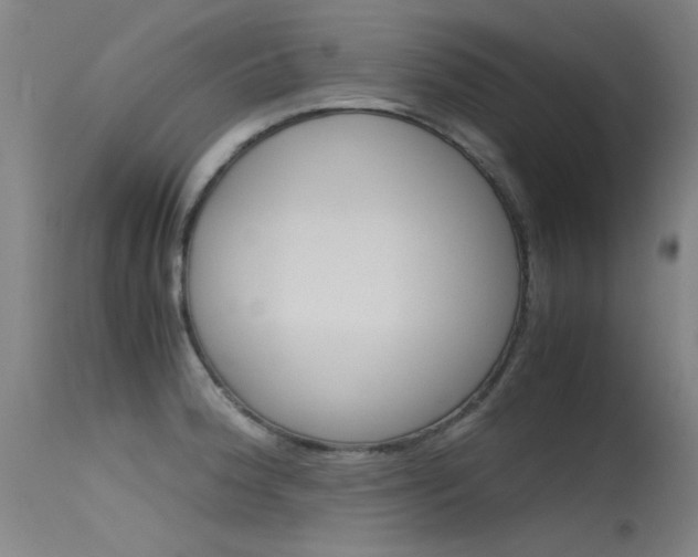 X0000115721188200911121055