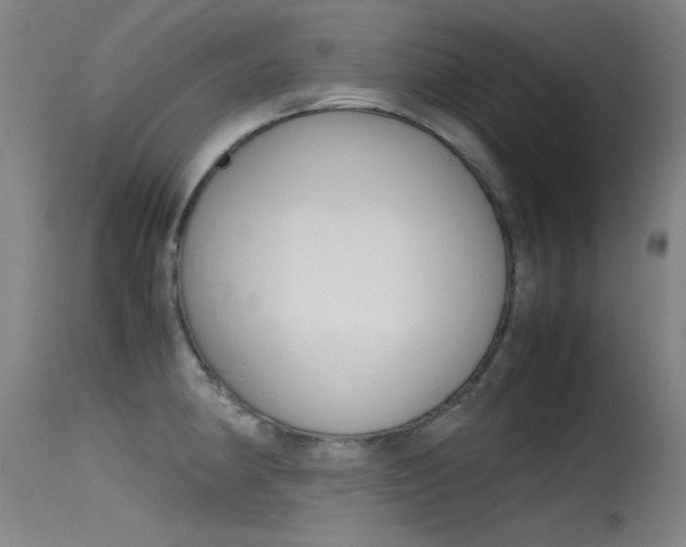X0000115721190200911121055