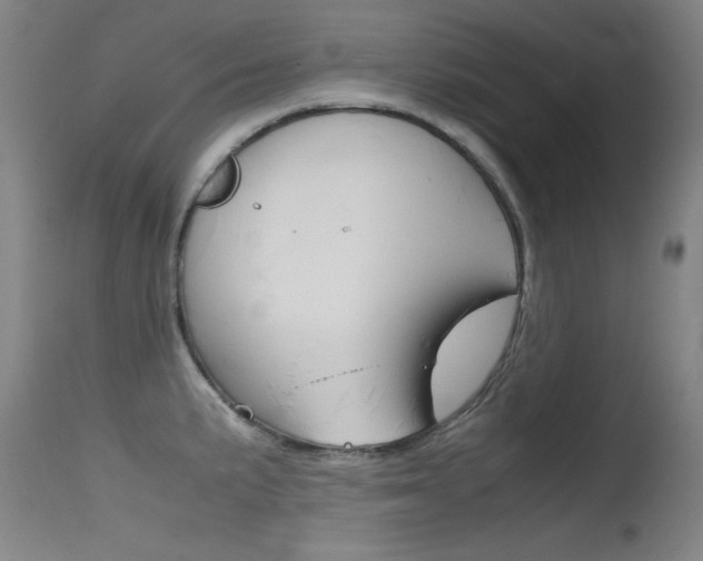 X0000115721191200911121055