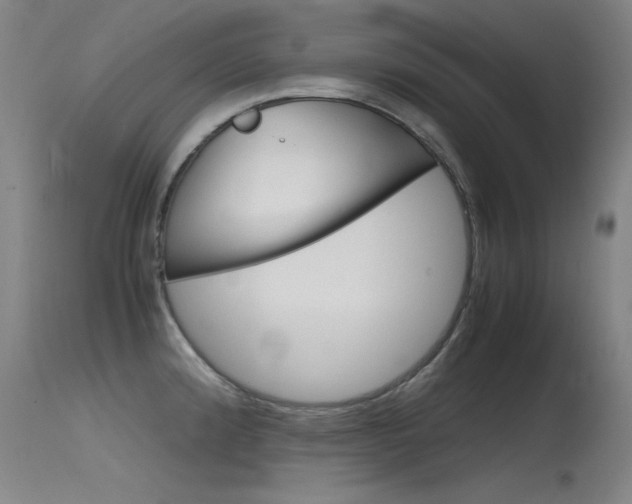 X0000115721192200911121055