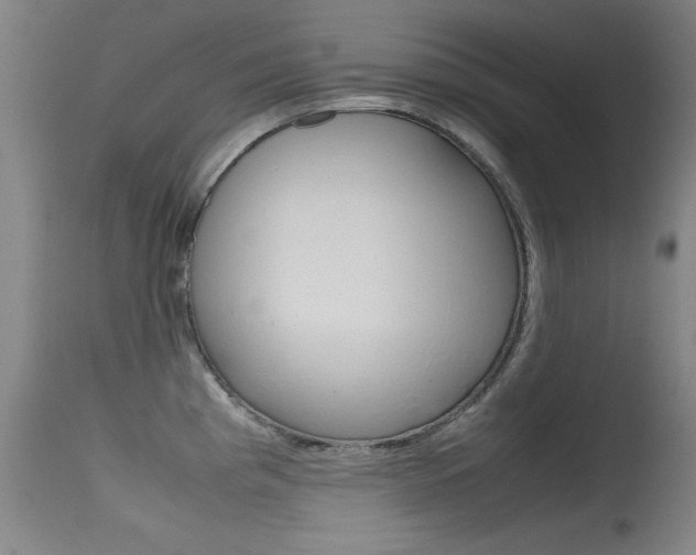 X0000115721193200911121055