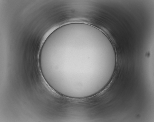 X0000115721196200911121055