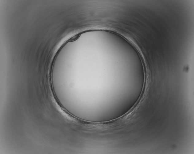 X0000115721197200911121055