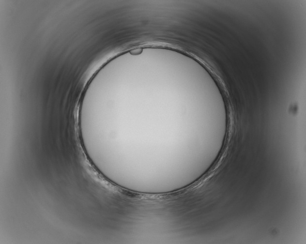X0000115721198200911121055