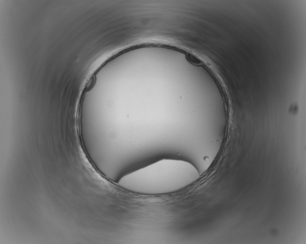 X0000115721199200911121055