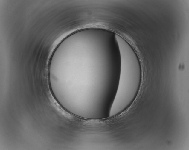 X0000115721200200911121055