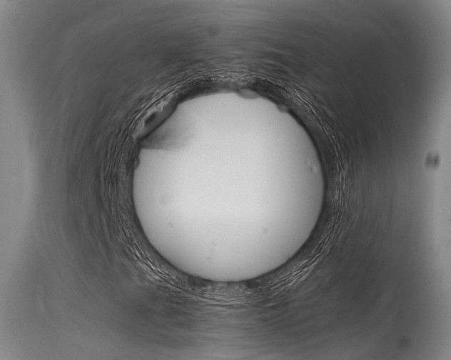 X0000115721201200911121055