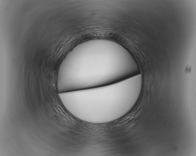 X0000115721202200911121055