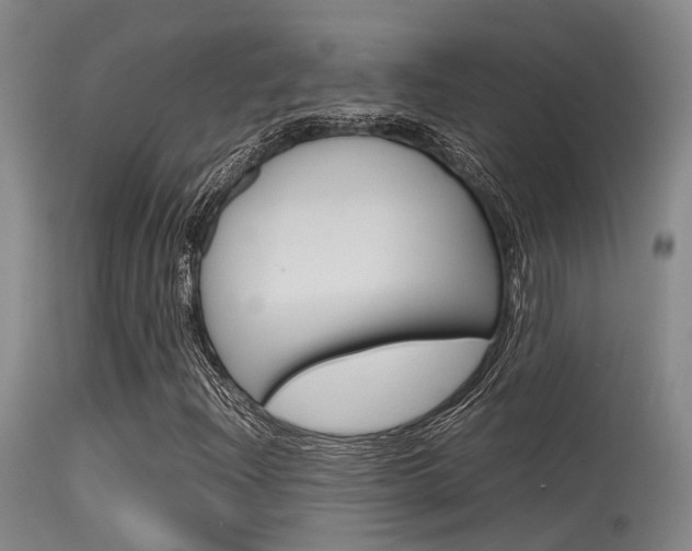 X0000115721204200911121055