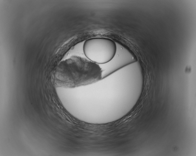 X0000115721205200911121055