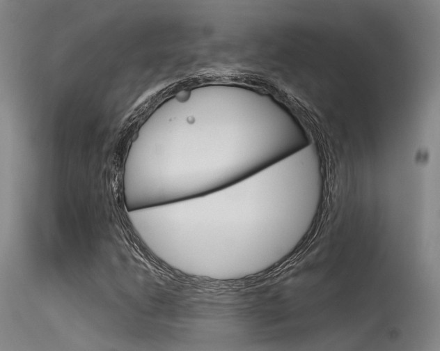 X0000115721206200911121055