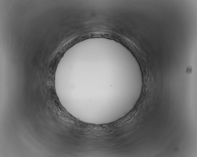 X0000115721207200911121055