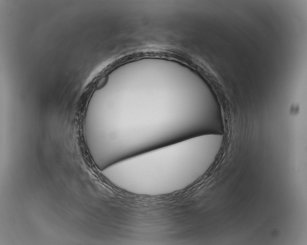 X0000115721208200911121055