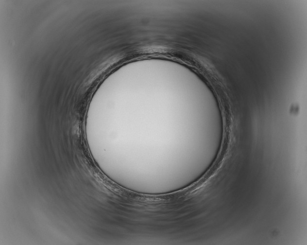 X0000115721209200911121055
