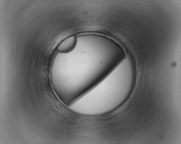 X0000115721210200911121055