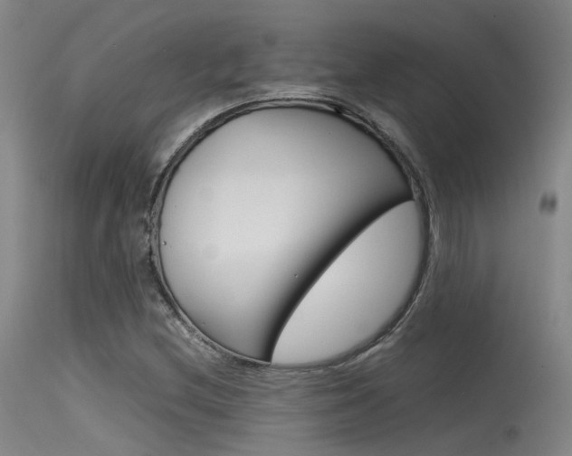 X0000115721212200911121055