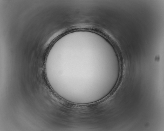 X0000115721213200911121055