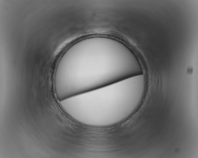 X0000115721214200911121055