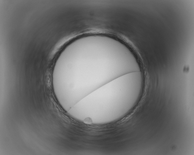 X0000115721215200911121055