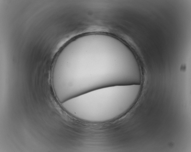 X0000115721220200911121055