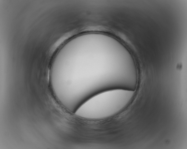 X0000115721221200911121055
