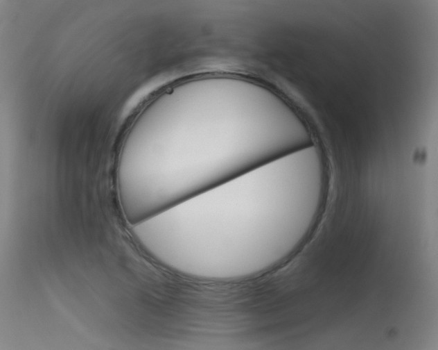 X0000115721222200911121055