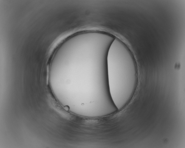 X0000115721223200911121055