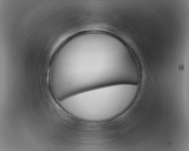 X0000115721224200911121055
