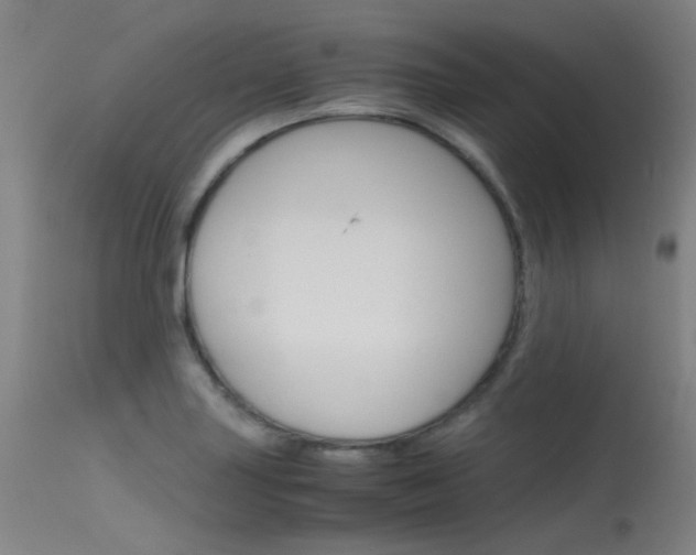 X0000115721227200911121055