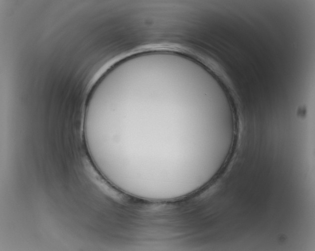 X0000115721228200911121055