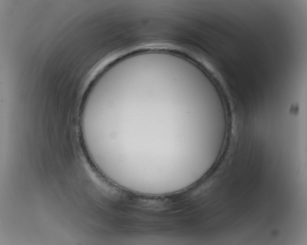X0000115721229200911121055