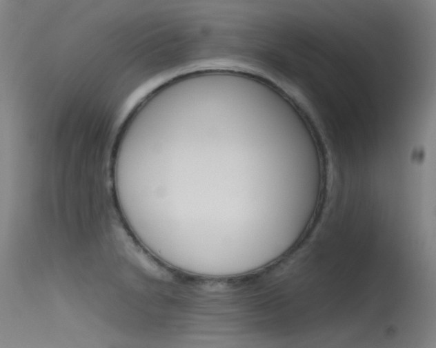 X0000115721230200911121055