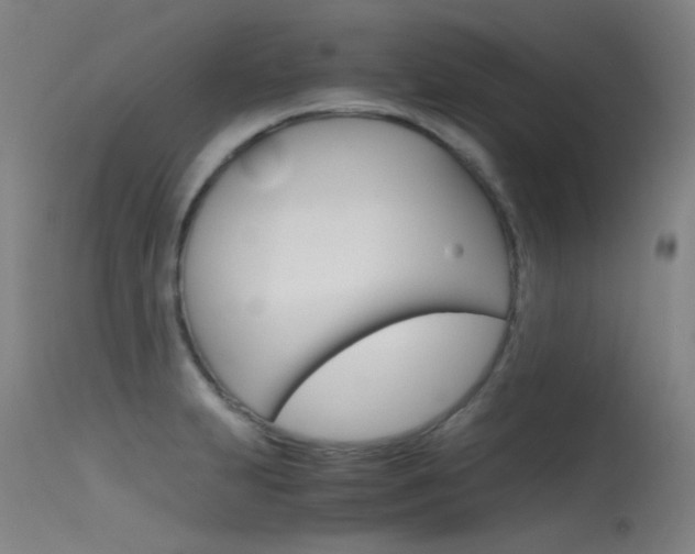 X0000115721231200911121055
