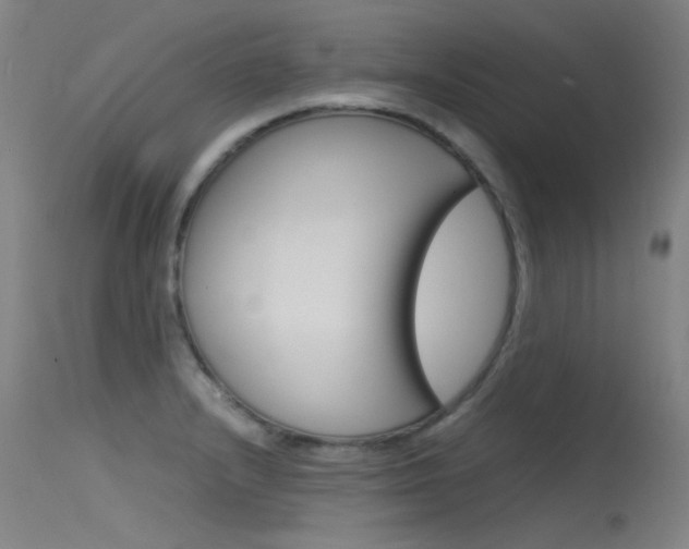 X0000115721232200911121055