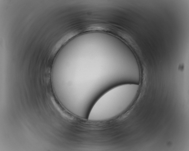 X0000115721233200911121055