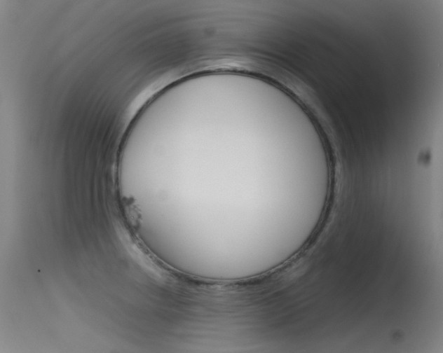 X0000115721234200911121055