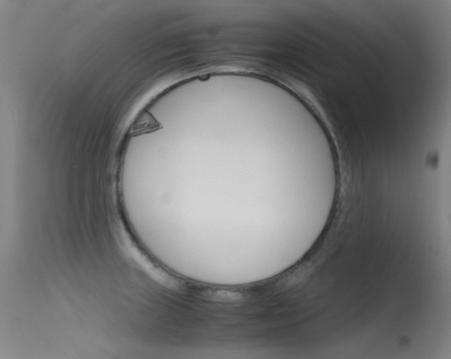 X0000115721235200911121055