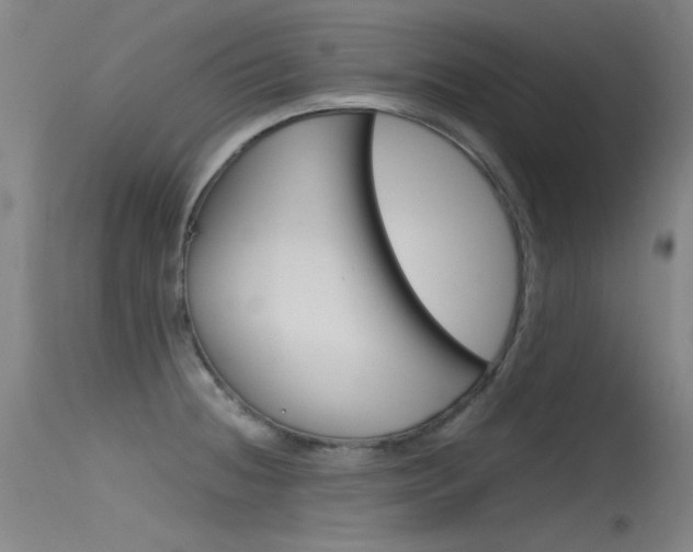 X0000115721236200911121055