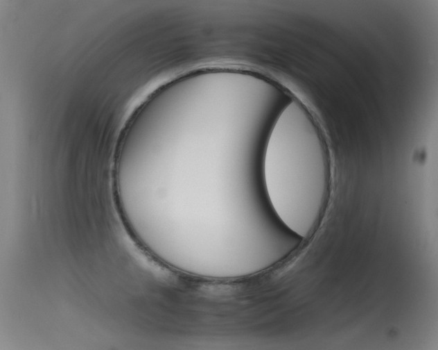 X0000115721237200911121055