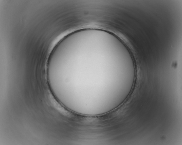 X0000115721238200911121055