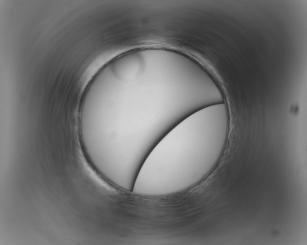 X0000115721239200911121055