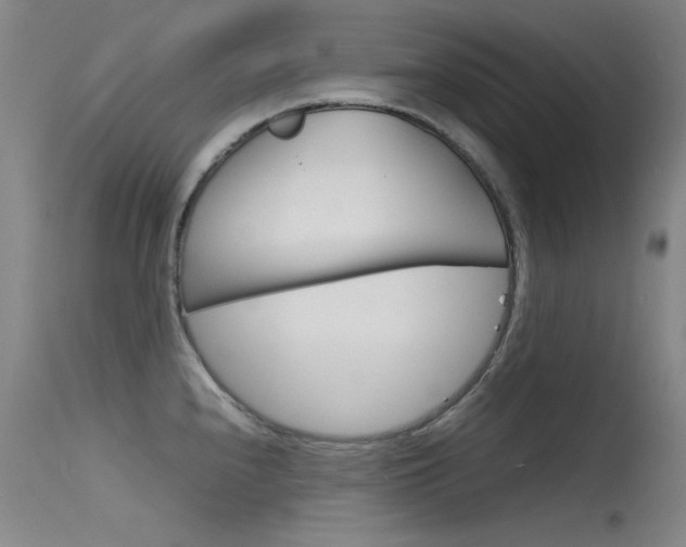 X0000115721240200911121055