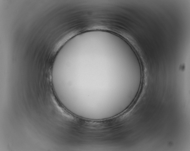 X0000115721241200911121055
