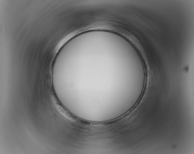 X0000115721242200911121055