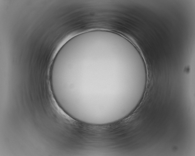 X0000115721243200911121055