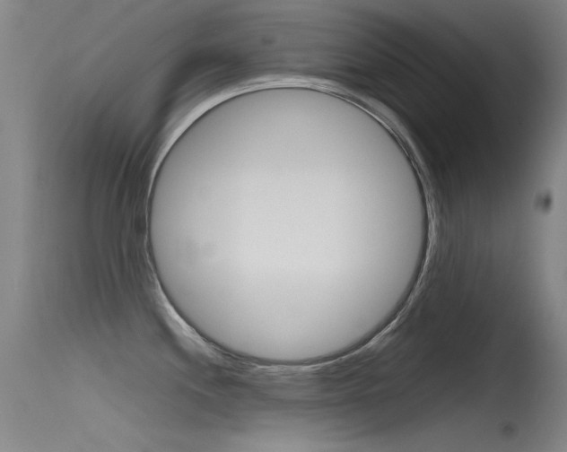 X0000115721244200911121055