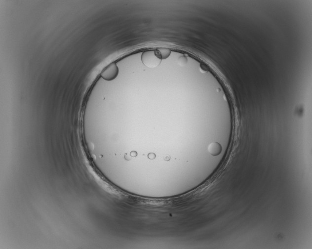 X0000115721245200911121055