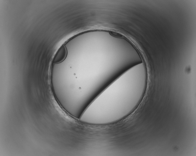 X0000115721246200911121055