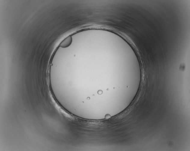X0000115721247200911121055